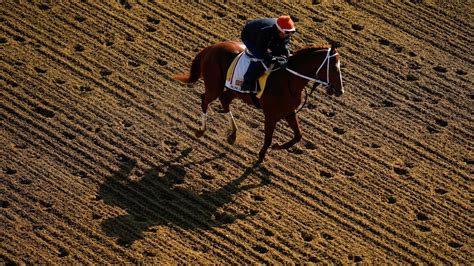 2023 Preakness: Date, time, odds, jockeys, betting tips .